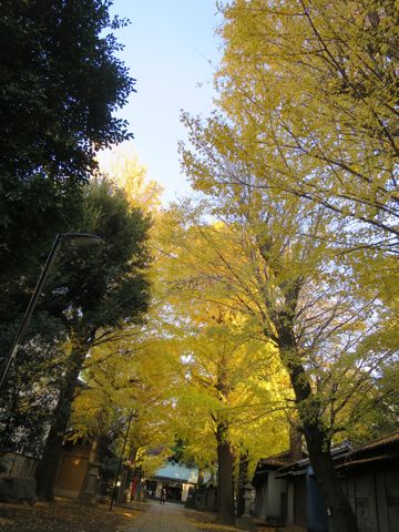 ¥Ó¥·¥ç¥ó¥Õ¥ê¡¼¥¼¥Õ¥ó¥È¥Ò¥å¥Ã¥ÆÊ¸µþ¶è¶ð¹þ¥Ó¥·¥ç¥ó»Ò¸¤¤³¤¤¤ÌÀÖ¤Á¤ã¤ó½Ð»º¾ðÊó¥Ó¥·¥ç¥óÉã¥Á¥ã¥ó¥Ô¥ª¥ó·ìÅýÌÓÎÌ¥ª¥¹»Ò¸¤¤ª¤ó¤Ê¤Î¤³Åìµþ¥Ó¥·¥ç¥ó²èÁüÀ³Ê¤«¤ï¤¤¤¤_241.jpg