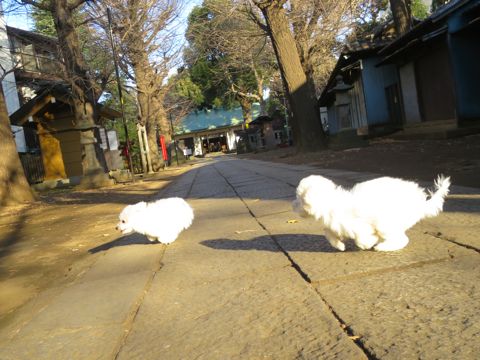 ¥Ó¥·¥ç¥ó¥Õ¥ê¡¼¥¼¥Õ¥ó¥È¥Ò¥å¥Ã¥ÆÊ¸µþ¶è¶ð¹þ¥Ó¥·¥ç¥ó»Ò¸¤¤³¤¤¤ÌÀÖ¤Á¤ã¤ó½Ð»º¾ðÊó¥Ó¥·¥ç¥óÉã¥Á¥ã¥ó¥Ô¥ª¥ó·ìÅýÌÓÎÌ¥ª¥¹»Ò¸¤¤ª¤ó¤Ê¤Î¤³Åìµþ¥Ó¥·¥ç¥ó²èÁüÀ³Ê¤«¤ï¤¤¤¤_623.jpg