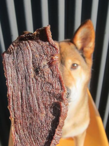 ミックス犬トリミング都内柴犬ミックス抜け毛時期柴犬ミックスシャンプー文京区フントヒュッテ駒込犬歯垢歯石におい口臭歯周病犬の歯磨きデンタルケア効果画像東京hundehutte_56.jpg