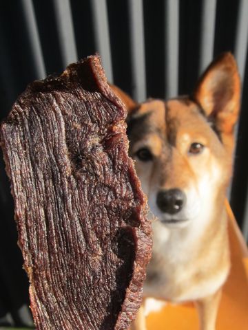 ミックス犬トリミング都内柴犬ミックス抜け毛時期柴犬ミックスシャンプー文京区フントヒュッテ駒込犬歯垢歯石におい口臭歯周病犬の歯磨きデンタルケア効果画像東京hundehutte_57.jpg