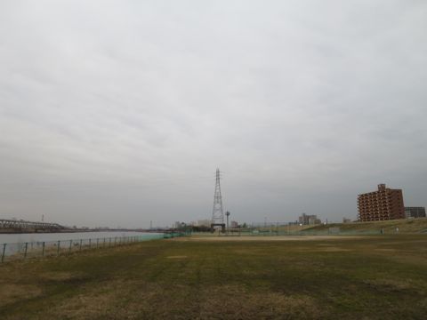 トイ・プードルペットホテル都内フントヒュッテ駒込犬おあずかり様子おさんぽ文京区hundehutte東京ペットホテル画像ドッグホテル日記トイプーレッド犬ホテル_50.jpg