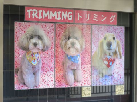 バレンタイン ハート リボン ピンク 水玉 かわいい ファンシー 生地 柄 Valentines Day バレンタインデー プリント生地 ファブリック 画像 生地の種類 7.jpg