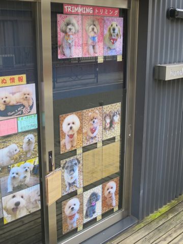 バレンタイン ハート リボン ピンク 水玉 かわいい ファンシー 生地 柄 Valentines Day バレンタインデー プリント生地 ファブリック 画像 生地の種類 8.jpg