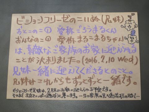 ¥Ó¥·¥ç¥ó¥Õ¥ê¡¼¥¼¥Õ¥ó¥È¥Ò¥å¥Ã¥ÆÊ¸µþ¶è¶ð¹þ¥Ó¥·¥ç¥ó»Ò¸¤¤³¤¤¤ÌÀÖ¤Á¤ã¤ó½Ð»º¾ðÊó¥Ó¥·¥ç¥óÉã¥Á¥ã¥ó¥Ô¥ª¥ó·ìÅýÌÓÎÌ¥ª¥¹»Ò¸¤¤ª¤ó¤Ê¤Î¤³Åìµþ¥Ó¥·¥ç¥ó²èÁüÀ³Ê¤«¤ï¤¤¤¤_1016.jpg