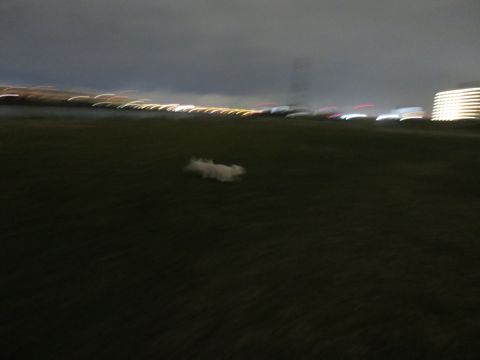 ビションフリーゼフントヒュッテ文京区駒込ビション子犬こいぬ赤ちゃん出産情報ビション父チャンピオン血統毛量オス子犬おんなのこ東京ビション画像性格かわいい_1047.jpg