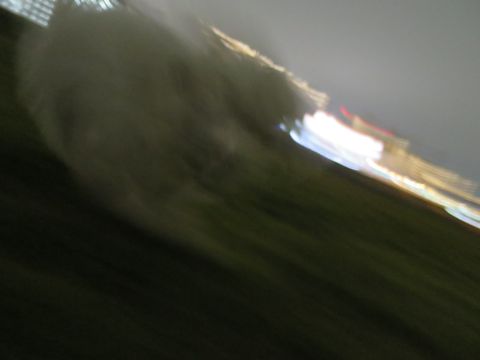 ビションフリーゼフントヒュッテ文京区駒込ビション子犬こいぬ赤ちゃん出産情報ビション父チャンピオン血統毛量オス子犬おんなのこ東京ビション画像性格かわいい_1054.jpg