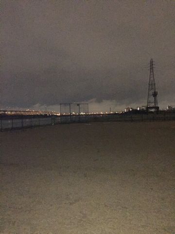 ビションフリーゼフントヒュッテ文京区駒込ビション子犬こいぬ赤ちゃん出産情報ビション父チャンピオン血統毛量オス子犬おんなのこ東京ビション画像性格かわいい_1072.jpg