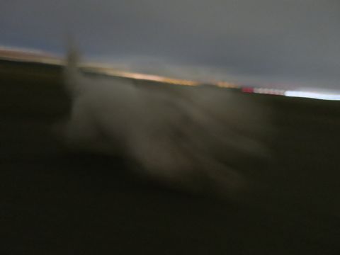 ビションフリーゼフントヒュッテ文京区駒込ビション子犬こいぬ赤ちゃん出産情報ビション父チャンピオン血統毛量オス子犬おんなのこ東京ビション画像性格かわいい_1088.jpg