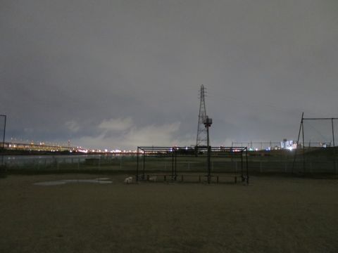 ビションフリーゼフントヒュッテ文京区駒込ビション子犬こいぬ赤ちゃん出産情報ビション父チャンピオン血統毛量オス子犬おんなのこ東京ビション画像性格かわいい_1091.jpg