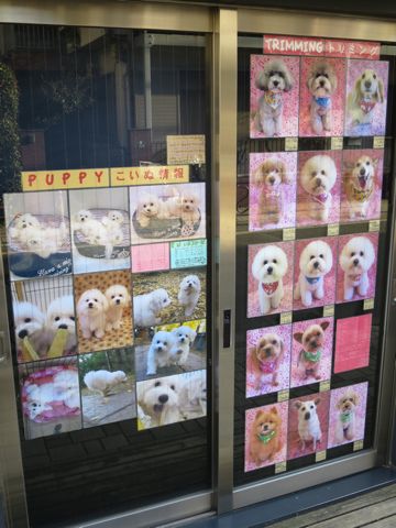バレンタイン ハート リボン ピンク 水玉 かわいい ファンシー 生地 柄 Valentines Day バレンタインデー プリント生地 ファブリック 画像 生地の種類 12.jpg
