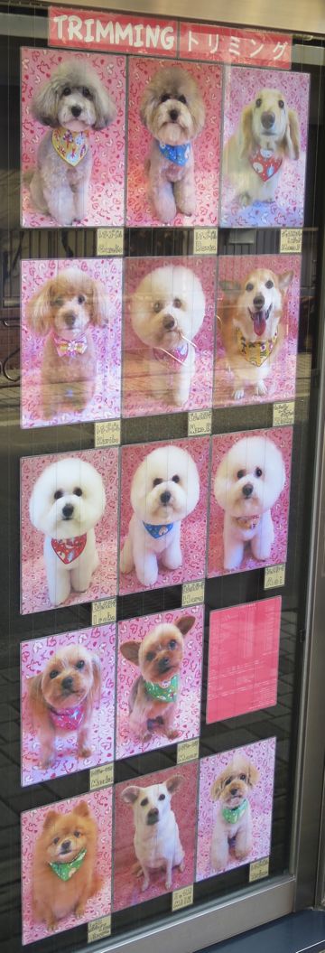 バレンタイン ハート リボン ピンク 水玉 かわいい ファンシー 生地 柄 Valentines Day バレンタインデー プリント生地 ファブリック 画像 生地の種類 14.jpg