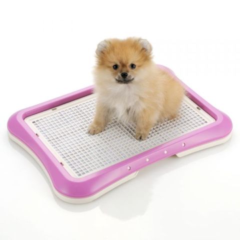 Richellリッチェルしつけ用ステップトレー幼犬時にはメッシュタイプ。大人になったらメッシュを外して使用できるトイレトレー。犬用トイレトレー画像オススメ犬トイレ躾_6.jpg
