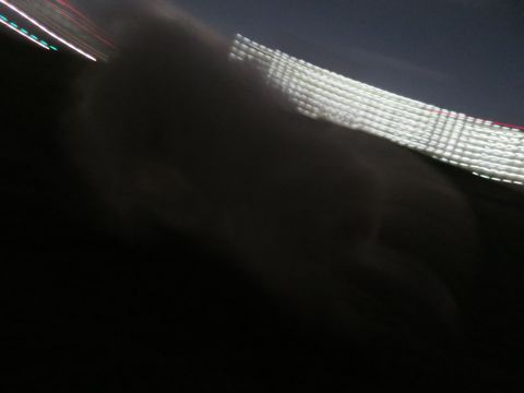 ビションフリーゼフントヒュッテ文京区駒込ビション子犬こいぬ赤ちゃん出産情報ビション父チャンピオン血統毛量オス子犬おんなのこ東京ビション画像性格かわいい_1138.jpg