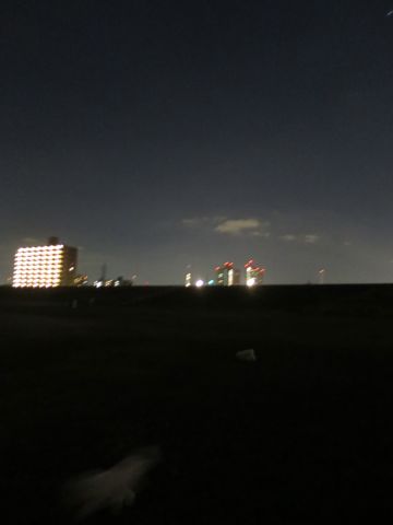 ビションフリーゼフントヒュッテ文京区駒込ビション子犬こいぬ赤ちゃん出産情報ビション父チャンピオン血統毛量オス子犬おんなのこ東京ビション画像性格かわいい_1139.jpg