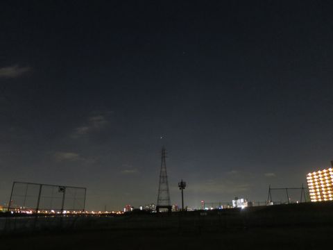 ビションフリーゼフントヒュッテ文京区駒込ビション子犬こいぬ赤ちゃん出産情報ビション父チャンピオン血統毛量オス子犬おんなのこ東京ビション画像性格かわいい_1147.jpg
