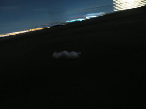 ビションフリーゼフントヒュッテ文京区駒込ビション子犬こいぬ赤ちゃん出産情報ビション父チャンピオン血統毛量オス子犬おんなのこ東京ビション画像性格かわいい_1148.jpg