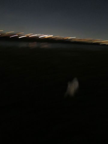 ビションフリーゼフントヒュッテ文京区駒込ビション子犬こいぬ赤ちゃん出産情報ビション父チャンピオン血統毛量オス子犬おんなのこ東京ビション画像性格かわいい_1158.jpg