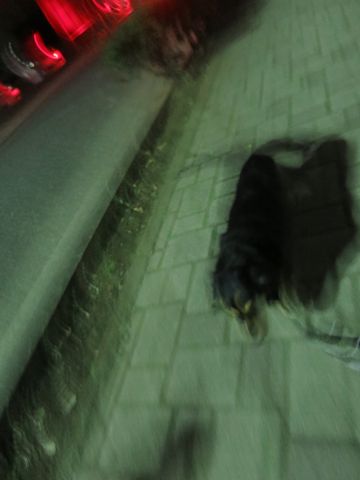 ダックスペットホテル様子おさんぽ犬おあずかり文京区フントヒュッテ東京ダックストリミング画像都内ペットホテル駒込カニヘンダックスカニンヘンダックス_6.jpg