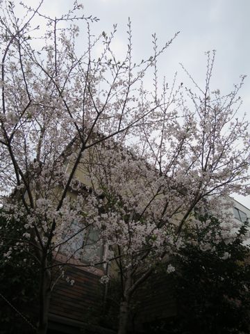 ¥À¥Ã¥¯¥¹¥Ú¥Ã¥È¥Û¥Æ¥ëÍͻҤª¤µ¤ó¤Ý¸¤¤ª¤¢¤º¤«¤êʸµþ¶è¥Õ¥ó¥È¥Ò¥å¥Ã¥ÆÅìµþ¥À¥Ã¥¯¥¹¥È¥ê¥ß¥ó¥°²èÁüÅÔÆâ¥Ú¥Ã¥È¥Û¥Æ¥ë¶ð¹þ¥«¥Ë¥Ø¥ó¥À¥Ã¥¯¥¹¥«¥Ë¥ó¥Ø¥ó¥À¥Ã¥¯¥¹_13.jpg