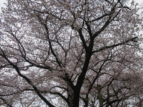 ¥À¥Ã¥¯¥¹¥Ú¥Ã¥È¥Û¥Æ¥ëÍͻҤª¤µ¤ó¤Ý¸¤¤ª¤¢¤º¤«¤êʸµþ¶è¥Õ¥ó¥È¥Ò¥å¥Ã¥ÆÅìµþ¥À¥Ã¥¯¥¹¥È¥ê¥ß¥ó¥°²èÁüÅÔÆâ¥Ú¥Ã¥È¥Û¥Æ¥ë¶ð¹þ¥«¥Ë¥Ø¥ó¥À¥Ã¥¯¥¹¥«¥Ë¥ó¥Ø¥ó¥À¥Ã¥¯¥¹_16.jpg