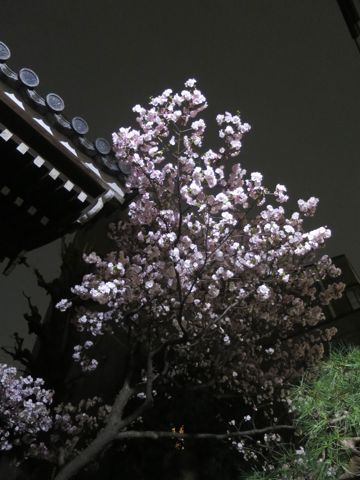 ¥À¥Ã¥¯¥¹¥Ú¥Ã¥È¥Û¥Æ¥ëÍͻҤª¤µ¤ó¤Ý¸¤¤ª¤¢¤º¤«¤êʸµþ¶è¥Õ¥ó¥È¥Ò¥å¥Ã¥ÆÅìµþ¥À¥Ã¥¯¥¹¥È¥ê¥ß¥ó¥°²èÁüÅÔÆâ¥Ú¥Ã¥È¥Û¥Æ¥ë¶ð¹þ¥«¥Ë¥Ø¥ó¥À¥Ã¥¯¥¹¥«¥Ë¥ó¥Ø¥ó¥À¥Ã¥¯¥¹_45.jpg