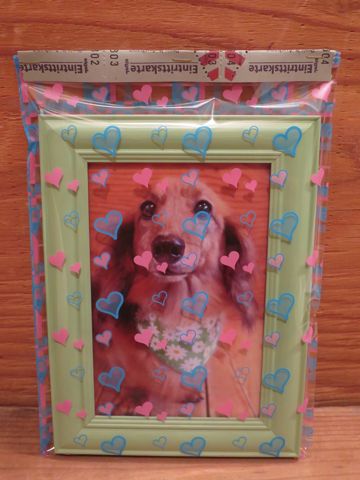 ダックスフント・ミニチュアトリミング文京区フントヒュッテ駒込hundehutte東京ダックストリミングサロン都内ゼオライトデンタルケア画像歯垢歯石除去犬歯磨き_20.jpg