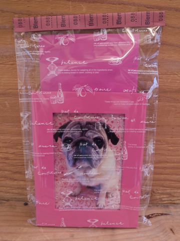 パグトリミング文京区パグトリミングサロン都内パグトリミング料金東京フントヒュッテ駒込hundehutte画像パグブスかわ犬鼻ぺちゃ犬パグ性格特徴色Pug_44.jpg