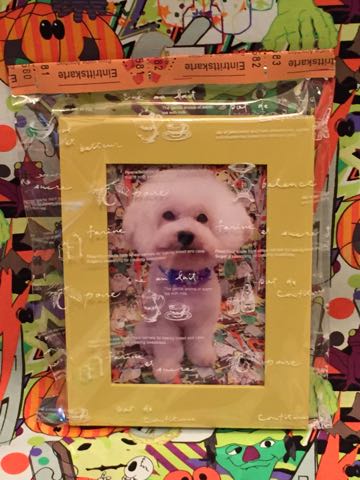 トイ・プードルトリミング文京区トイプードル丸くカット画像フントヒュッテ駒込トイプーホワイト東京hundehutteゼオライトデンタルケア犬歯磨き歯垢歯石除去都内_5.jpg