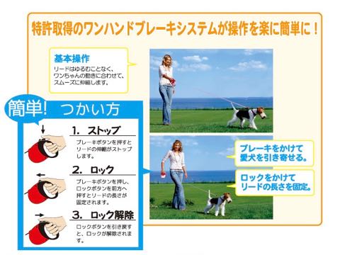 flexi NEON フレキシリードネオン画像伸縮自在リード犬さんぽ夜のお散歩蛍光カラー夜光るリード都内フントヒュッテ文京区hundehutte駒込_5.jpg