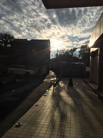 ビションフリーゼ子犬フントヒュッテこいぬ家族募集里親関東_3087.jpg