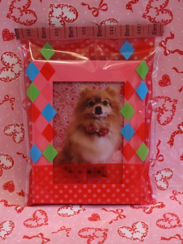ポメラニアントリミング画像ポメサマーカットフントヒュッテ文京区ペットホテル都内hundehutte東京ドッグホテル駒込犬ホテル料金_87.jpg