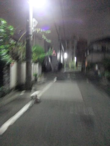 ビションフリーゼトリミング文京区フントヒュッテ駒込hundehutteビションフリーゼカット画像ビションカット都内ペットホテル料金東京犬温泉効果_92.jpg