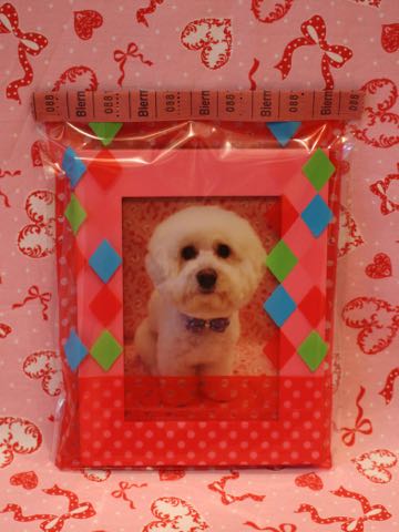 ビションフリーゼトリミング文京区フントヒュッテ駒込hundehutteビションフリーゼカット画像ビションカット都内ペットホテル料金東京犬温泉効果_137.jpg