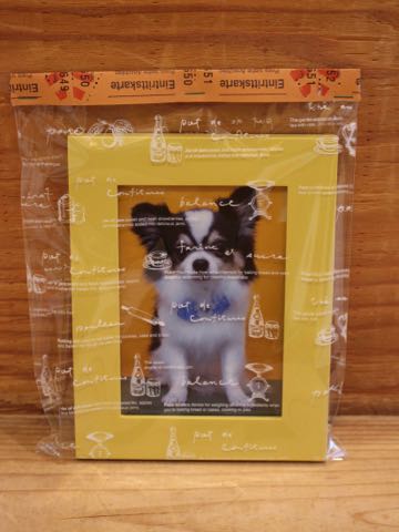 チワワトリミング文京区フントヒュッテ駒込hundehutteチワワトリミングサマーカット画像チワワトリミングサロン都内チワワトリミング料金東京バースデー犬_19.jpg