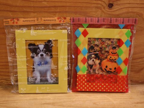 チワワトリミング文京区フントヒュッテ駒込hundehutteチワワトリミングサマーカット画像チワワトリミングサロン都内チワワトリミング料金東京バースデー犬_20.jpg