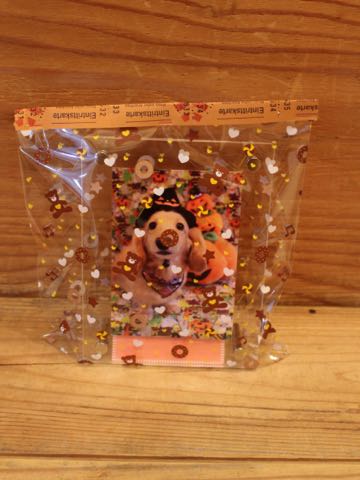 ダックスフントミニチュアトリミング都内フントヒュッテ駒込犬の歯みがき画像文京区歯垢歯石除去歯磨きゼオライトデンタルケア犬温泉東京_46.jpg