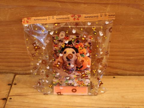 ダックスフントミニチュアトリミング都内フントヒュッテ駒込犬の歯みがき画像文京区歯垢歯石除去歯磨きゼオライトデンタルケア犬温泉東京_47.jpg
