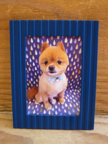 ミックス犬トリミング東京ポメラニアンとチワワのミックス犬画像ミックス犬トリミング料金文京区フントヒュッテ駒込サマーカットポメチワミックス犬_6.jpg