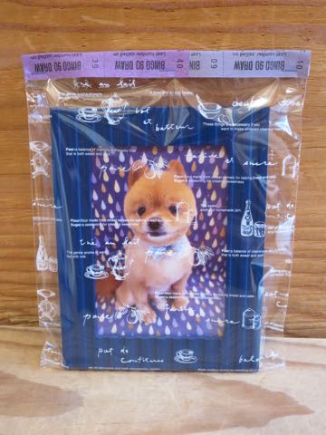 ミックス犬トリミング東京ポメラニアンとチワワのミックス犬画像ミックス犬トリミング料金文京区フントヒュッテ駒込サマーカットポメチワミックス犬_7.jpg