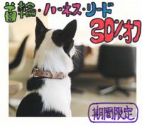 SALEフントヒュッテオンラインストアセール通販犬用品TIMESALE首輪ハーネスリードエンジェルアイズ涙やけ_11.jpg