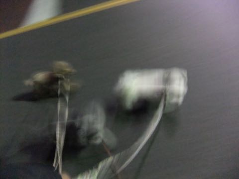 トイプードルトリミング都内フントヒュッテ駒込トイプーカット画像文京区犬歯磨き歯垢歯石除去ゼオライトデンタルケア東京ペットホテル犬ハーブパック効果_191.jpg
