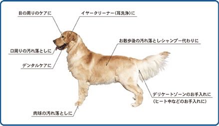 Pet-CoolペットクールBodyCareボディケア涙ヤケ改善犬皮膚トラブル改善画像シルク＆コラーゲン犬静電気防止除菌消臭剤オススメウィルス＆スメル犬用品フントヒュッテ_b15.jpg