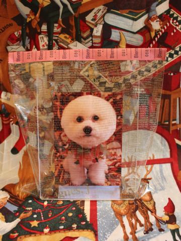 ビションフリーゼトリミング文京区フントヒュッテ駒込ビションカットスタイル画像犬歯磨き歯垢歯石除去ゼオライトデンタルケア東京犬温泉効能_29.jpg