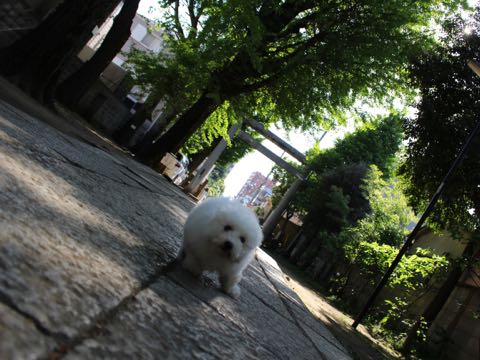 ¥Ó¥·¥ç¥ó¥Õ¥ê¡¼¥¼¥Õ¥ó¥È¥Ò¥å¥Ã¥Æ¤³¤¤¤Ì²èÁü¥Ó¥·¥ç¥ó¥Õ¥ê¡¼¥¼»Ò¸¤¼Ò²ñ²½À³Ê·ìÅý¥Á¥ã¥ó¥Ô¥ª¥ó¸¤Åìµþ¥Ó¥·¥ç¥ó¥á¥¹´ØÅ줫¤ï¤¤¤¤¥Ó¥·¥ç¥ó¤ª¤È¤³¤Î¤³Ê¸µþ¶è½Ð»º¾ðÊó¥Ó¥·¥ç¥óÊ罸_387.jpg