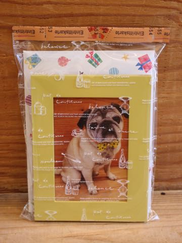 パグトリミング画像フントヒュッテ文京区ペットホテル様子おさんぽ犬おあずかり東京パグ夏短頭種とは鼻ぺちゃ犬パグ性格特徴色Pug_117.jpg