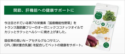 ベジカリ犬のおやつ国産サプリメントヘルスケア機能性野菜ビーツ関節・肝機能への健康サポート菊芋サツマイモ瞳の健康サポート黒人参BellwoodsペットクールPet-Cool_6.jpg