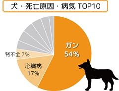 ベジカリ犬のおやつ国産サプリメントヘルスケア機能性野菜ビーツ関節・肝機能への健康サポート菊芋サツマイモ瞳の健康サポート黒人参BellwoodsペットクールPet-Cool_15.jpg