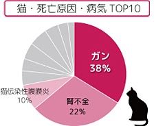 ベジカリ犬のおやつ国産サプリメントヘルスケア機能性野菜ビーツ関節・肝機能への健康サポート菊芋サツマイモ瞳の健康サポート黒人参BellwoodsペットクールPet-Cool_16.jpg