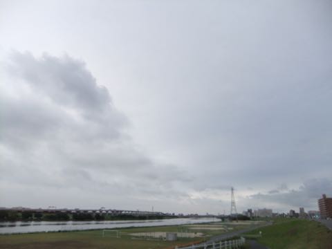 ビションフリーゼフントヒュッテこいぬ画像ビションフリーゼ子犬社会化性格血統チャンピオン犬東京ビションメス関東かわいいビションおとこのこ文京区出産情報ビション募集_733.jpg