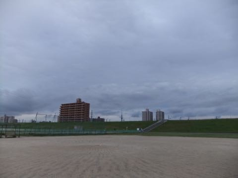 ビションフリーゼフントヒュッテこいぬ画像ビションフリーゼ子犬社会化性格血統チャンピオン犬東京ビションメス関東かわいいビションおとこのこ文京区出産情報ビション募集_747.jpg